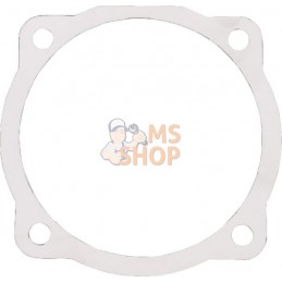 Joint 0,05 mm | MASCHIO Joint 0,05 mm | MASCHIOPR#695008