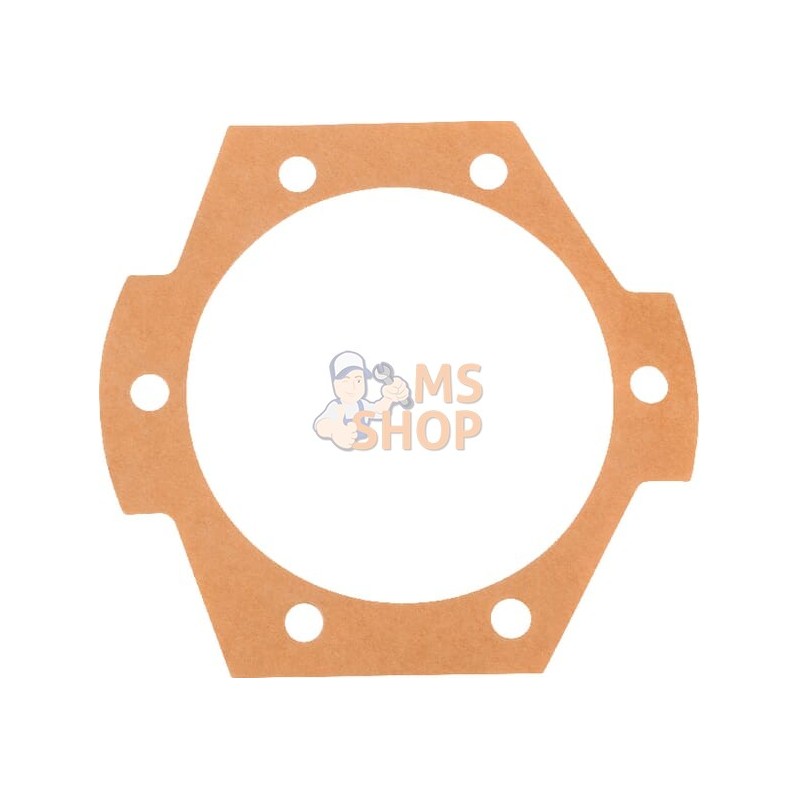 Joint 0,1 mm Maschio | MASCHIO Joint 0,1 mm Maschio | MASCHIOPR#694977