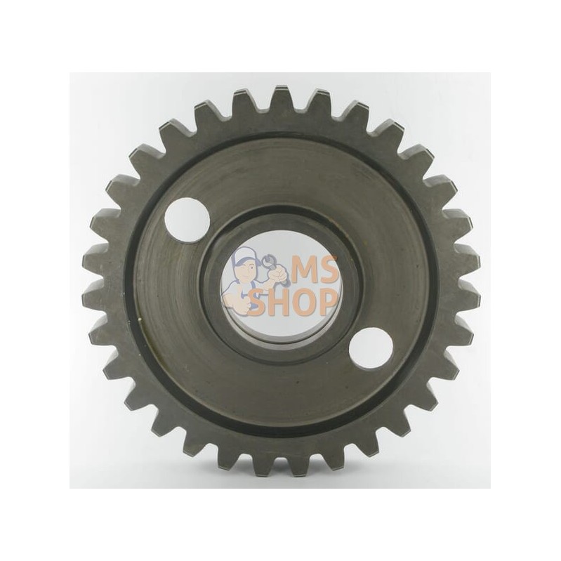 Pignon 31D Maschio | MASCHIO Pignon 31D Maschio | MASCHIOPR#694871