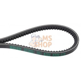 Courroie trapézoïdale avx10-m1 l=875 | LOMBARDINI Courroie trapézoïdale avx10-m1 l=875 | LOMBARDINIPR#754776