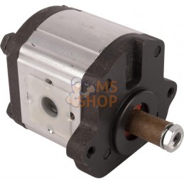 Hydraulic pump | LANDINI Hydraulic pump | LANDINIPR#1004673
