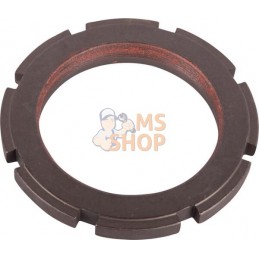 Nut | LANDINI Nut | LANDINIPR#1004652