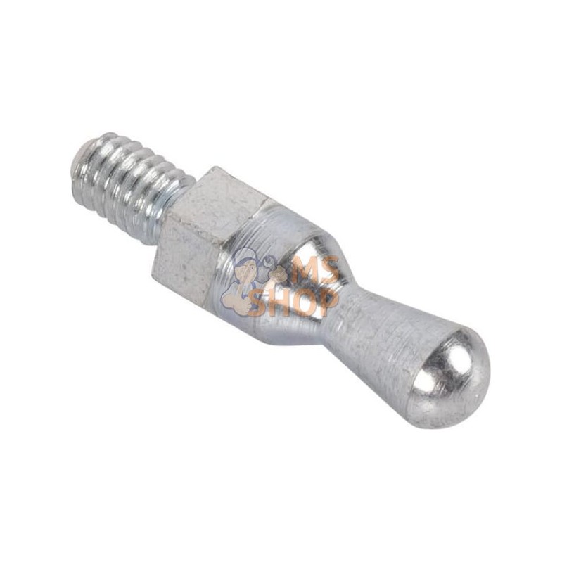 Stud | LANDINI Stud | LANDINIPR#1075070