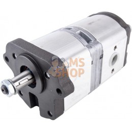 Pompe | LANDINI Pompe | LANDINIPR#632749
