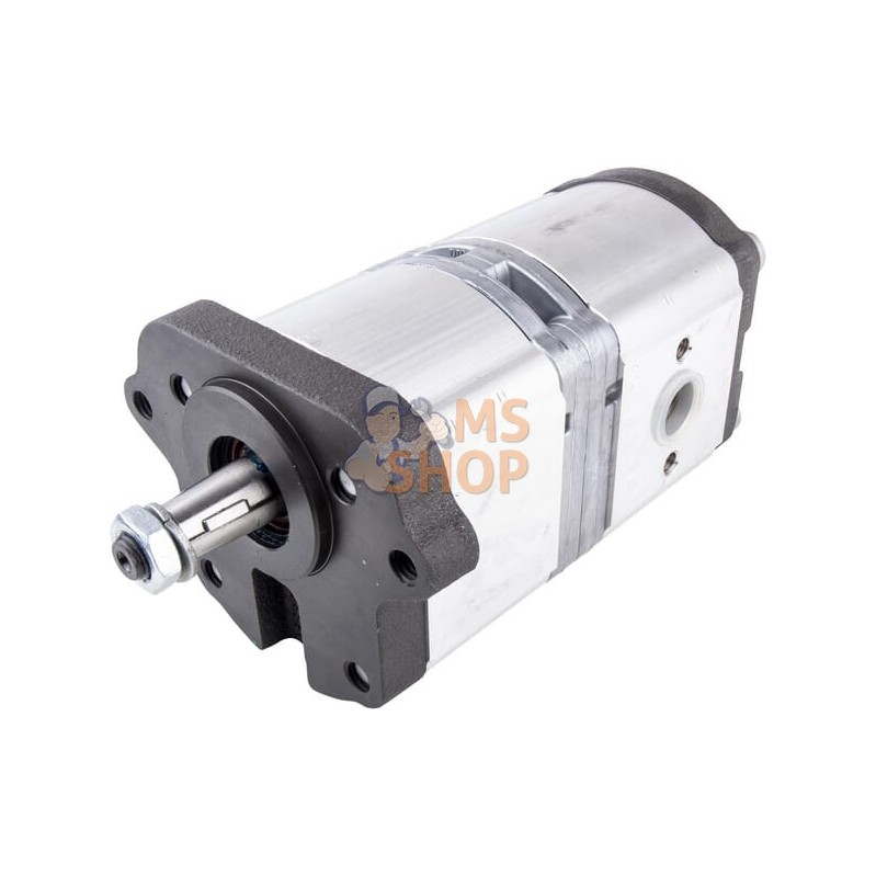 Pompe | LANDINI Pompe | LANDINIPR#632749