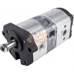 Pompe | LANDINI Pompe | LANDINIPR#632760