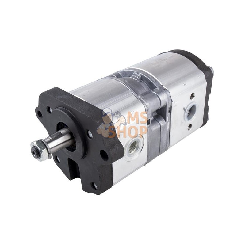 Pompe | LANDINI Pompe | LANDINIPR#632760