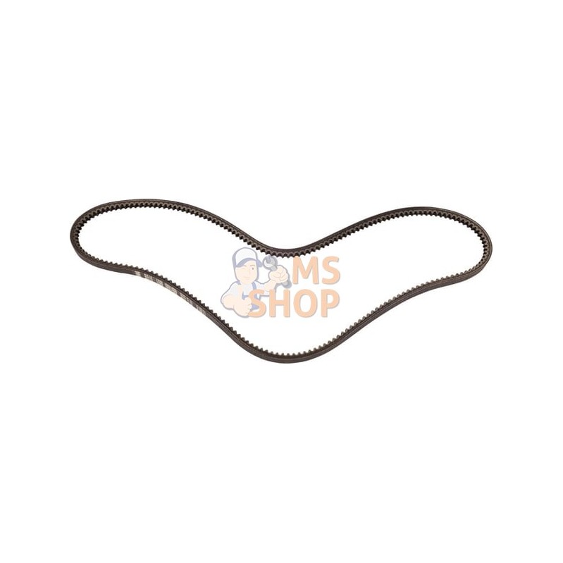 Courroie | LANDINI Courroie | LANDINIPR#632770