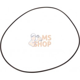 Gasket | LANDINI Gasket | LANDINIPR#1075121