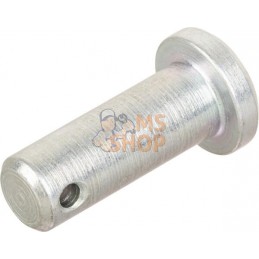 Goupille | LANDINI Goupille | LANDINIPR#632600