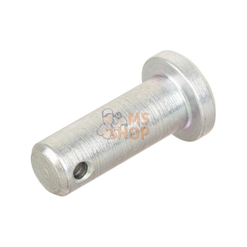 Goupille | LANDINI Goupille | LANDINIPR#632600