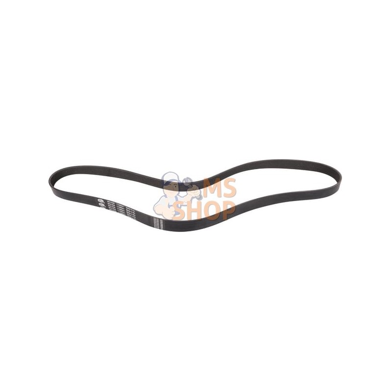 V-belt | LANDINI V-belt | LANDINIPR#1075088