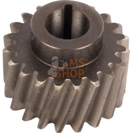 Gear Z20 | LANDINI Gear Z20 | LANDINIPR#1075065