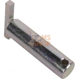 Pin | LANDINI Pin | LANDINIPR#1004662