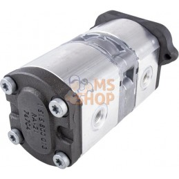 Pompe | LANDINI Pompe | LANDINIPR#632760
