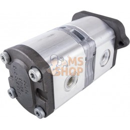 Pompe | LANDINI Pompe | LANDINIPR#632749