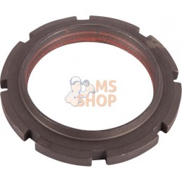 Nut | LANDINI Nut | LANDINIPR#1004652