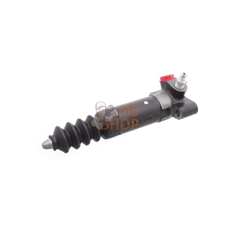 Cylindre | LANDINI Cylindre | LANDINIPR#632727