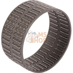 Bearing | LANDINI Bearing | LANDINIPR#1075061