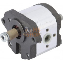 Pompe | LANDINI Pompe | LANDINIPR#632698