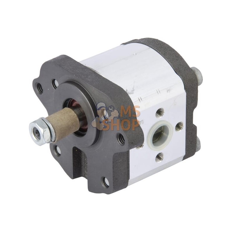 Pompe | LANDINI Pompe | LANDINIPR#632698