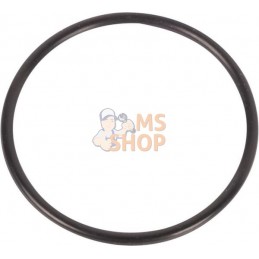 Gasket | LANDINI Gasket | LANDINIPR#1075089