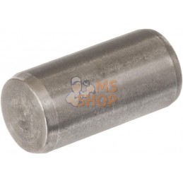Goupille | LANDINI Goupille | LANDINIPR#632614