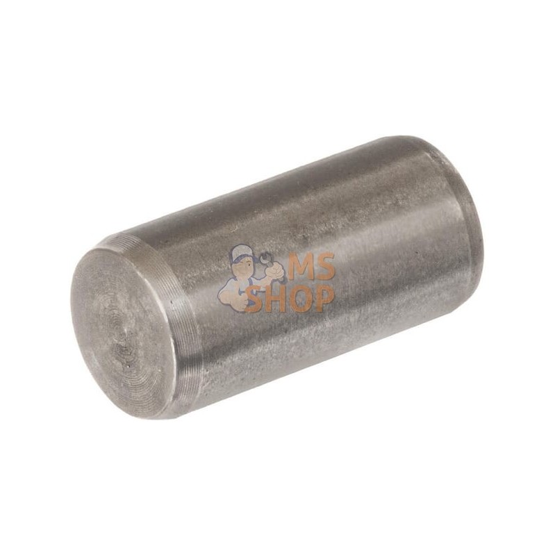 Goupille | LANDINI Goupille | LANDINIPR#632614
