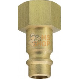 Racc. rap. filet fem. BSP 1/4" | LÜDECKE Racc. rap. filet fem. BSP 1/4" | LÜDECKEPR#780262