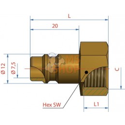 Racc. rap. filet fem. BSP 1/4" | LÜDECKE Racc. rap. filet fem. BSP 1/4" | LÜDECKEPR#780262