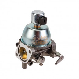 847050; BRIGGS & STRATTON; Carburateur; pièce detachée