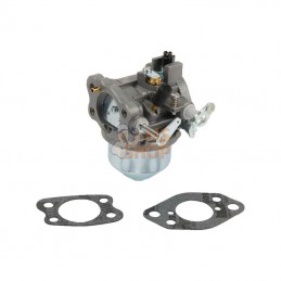 847049; BRIGGS & STRATTON; Carburateur; pièce detachée