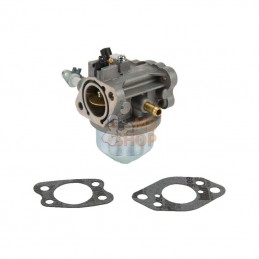847049; BRIGGS & STRATTON; Carburateur; pièce detachée