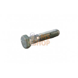 Vis 5/16" | MTD Vis 5/16" | MTDPR#33327