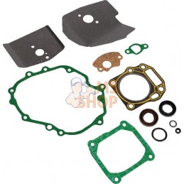 Kit de joints compl. 1p61 | MTD Kit de joints compl. 1p61 | MTDPR#32011