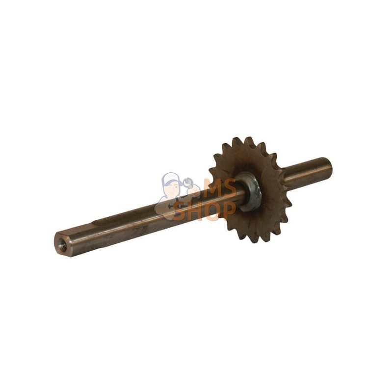 Axe et pignon 19 dents | MTD Axe et pignon 19 dents | MTDPR#32095