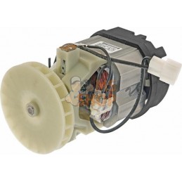 Moteur électrique | MTD Moteur électrique | MTDPR#766323