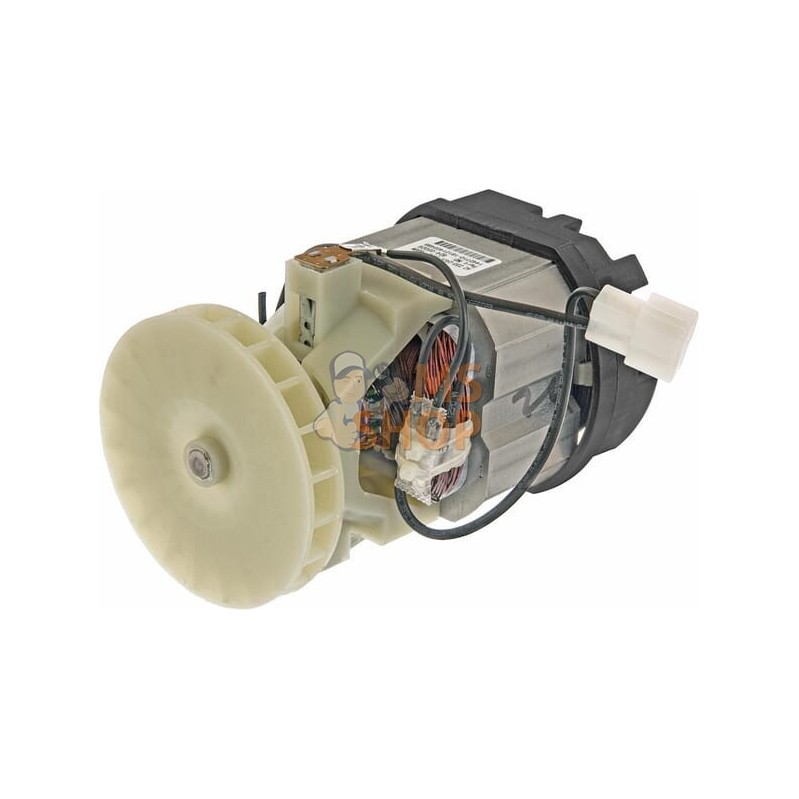 Moteur électrique | MTD Moteur électrique | MTDPR#766323