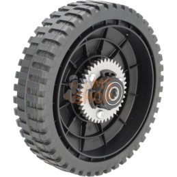 Roue 200mm | MTD Roue 200mm | MTDPR#459106