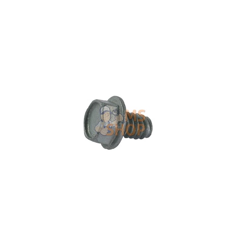 Boulon | MTD Boulon | MTDPR#32203