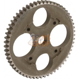 Pignon 58 dents | MTD Pignon 58 dents | MTDPR#32909
