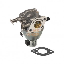 846595; BRIGGS & STRATTON; Carburateur; pièce detachée