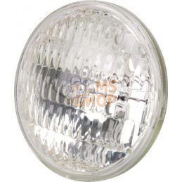 Lampe | MTD Lampe | MTDPR#32817