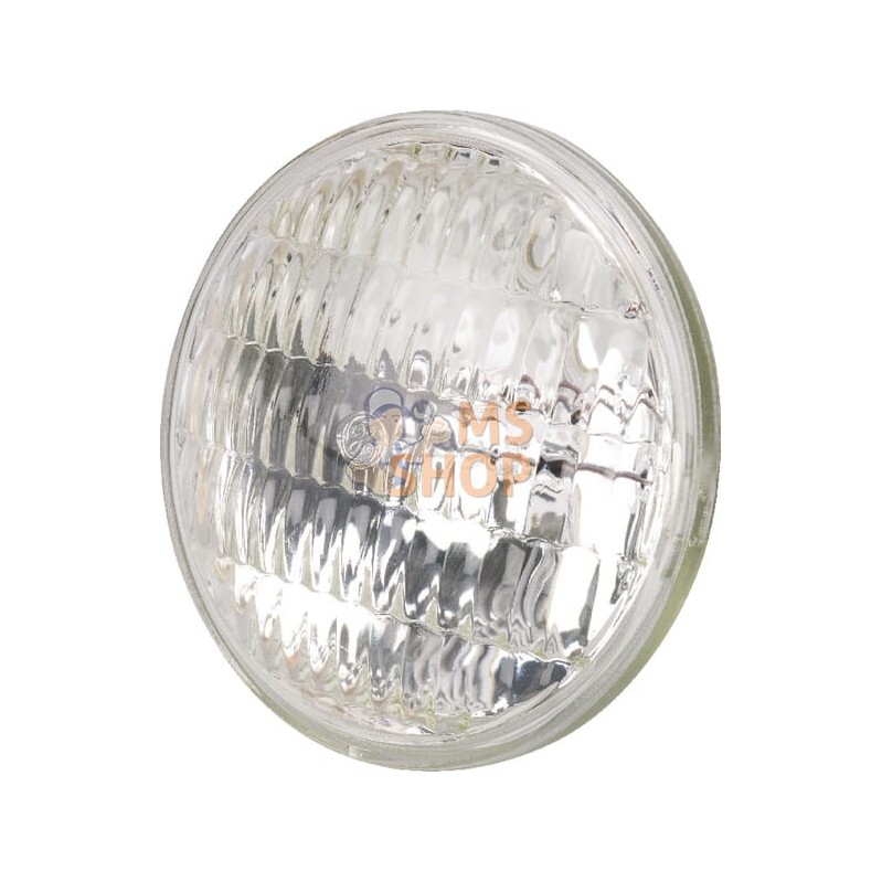Lampe | MTD Lampe | MTDPR#32817
