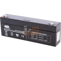 Batterie 12 V | MTD Batterie 12 V | MTDPR#766334