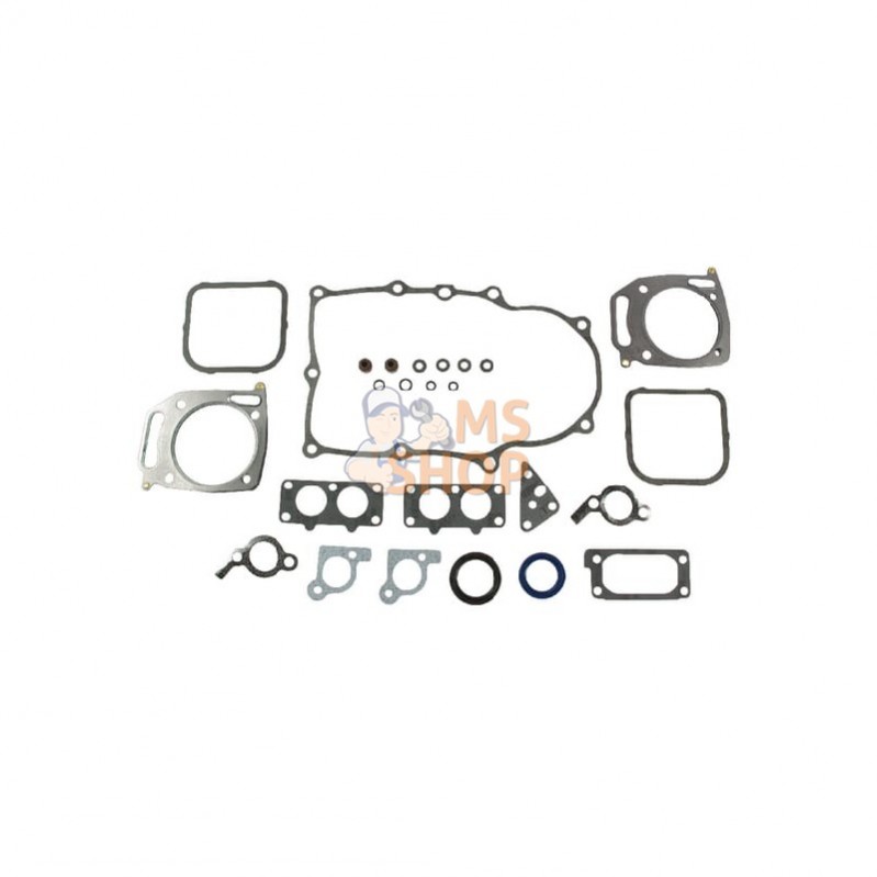 842658; BRIGGS & STRATTON; Kit de joints; pièce detachée