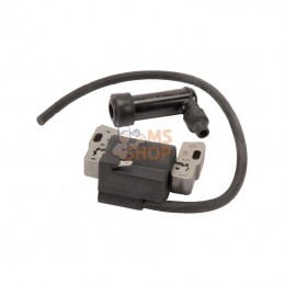 712447; BRIGGS & STRATTON; Bobine d'allumage B&S; pièce detachée