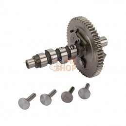 845649; BRIGGS & STRATTON; Arbre a cames; pièce detachée