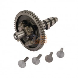 845649; BRIGGS & STRATTON; Arbre a cames; pièce detachée