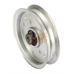 Kit rouleau tendeur | MTD Kit rouleau tendeur | MTDPR#165525